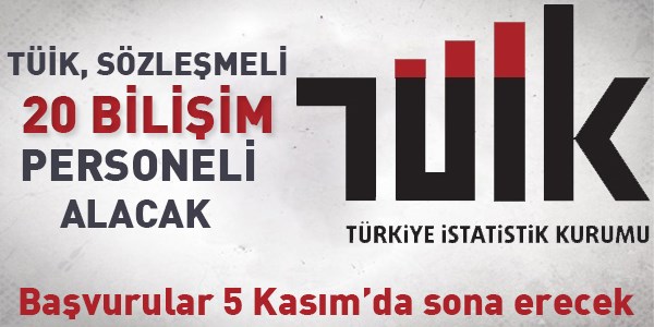 Trkiye statistik Kurumu Szlemeli Personel Alm lan