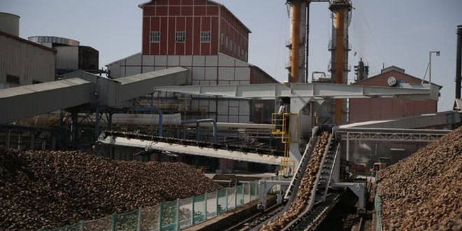 Trkiye eker Fabrikalar 1500 personel alacak