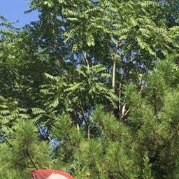 T�may E�itim Kurumlar� �ngilizce ve Rus�a ��retmen Al�m �lan�