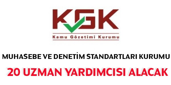 Muhasebe ve Denetim Standartları Uzman Yardımcısı Alım İlanı