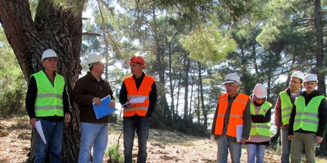 Tarım ve Orman Bakanlığı sözleşmeli 1.150 Orman Mühendisi alacak- Düzeltildi
