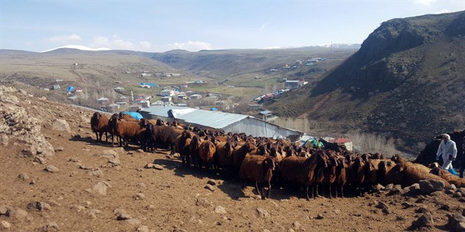 Elazığ Koyun Keçi Yetiştiricileri Birliği teknik personel alacak