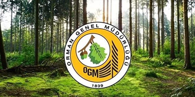 Orman Genel Müdürlüğü 9 sözleşmeli pilot alacak