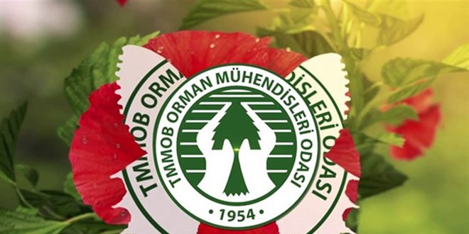 Serbest Yeminli Meslek Mensuplu�u (SYMM) s�nav ba�vurular� ba�lad�